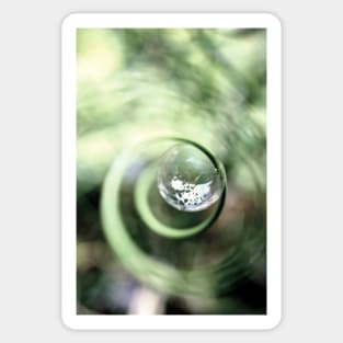 Macro bubble photography Sticker